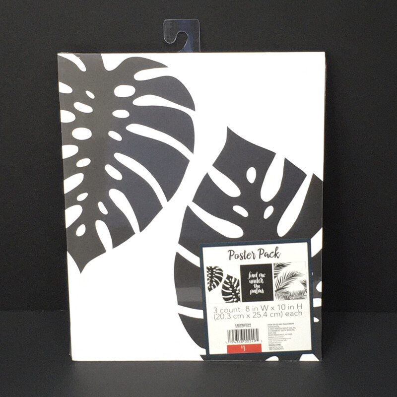 Poster Pack 3 Count 8in W x 10in H