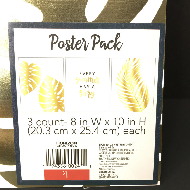 Poster Pack 3 Count 8in W x 10in H