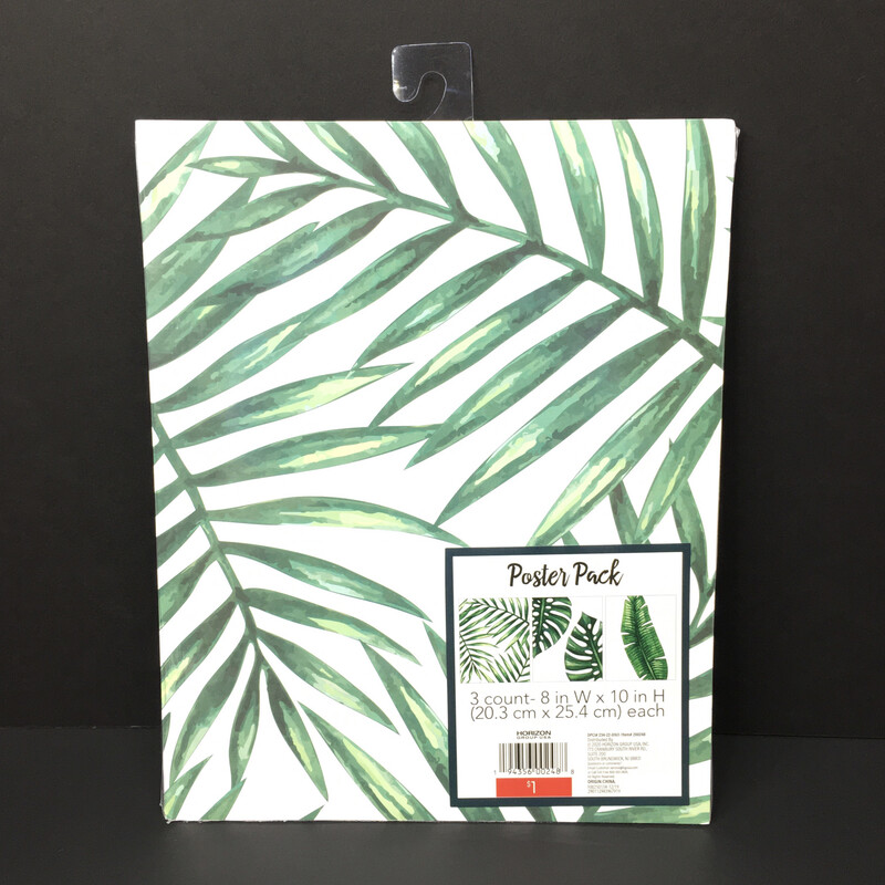 Poster Pack 3 Count 8in W x 10in H