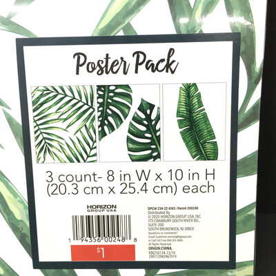 Poster Pack 3 Count 8in W x 10in H