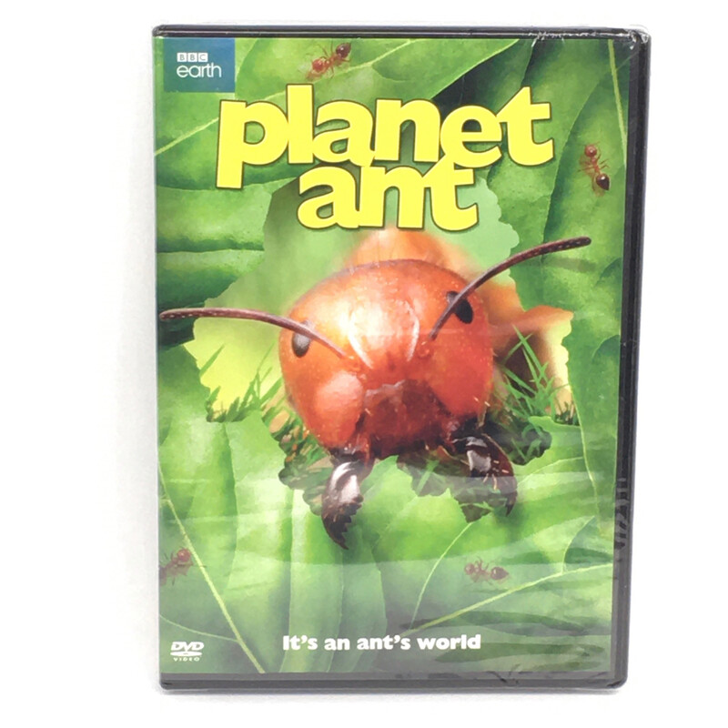 Planet Ant DVD 2015 - It&#39;s An Ant&#39;s World - BBC