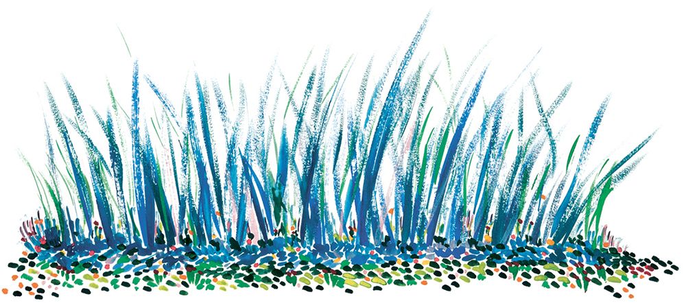 ARTE LIMITADO - BLUEGRASS - 50 CM