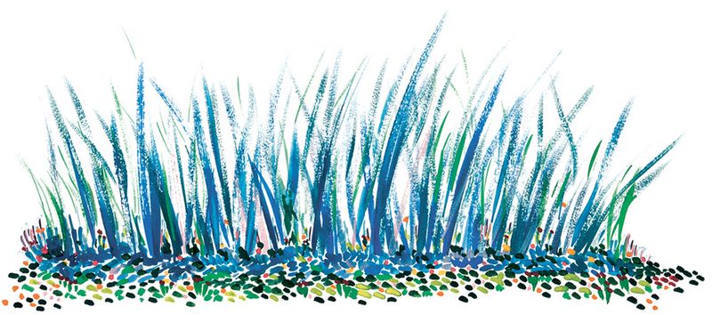 ARTE LIMITADO - BLUEGRASS - 50 CM