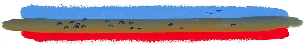 ARTE LIMITADO - WILDLIFE -  NARROW/ESTRECHO - 50 CM