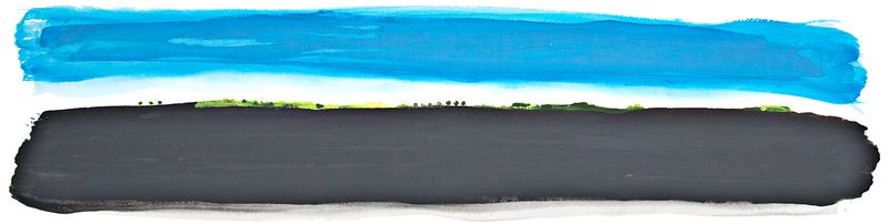 FERTILE FIELD - EDICIÓN DE FIRMA - NARROW/ESTRECHO - 50 CM