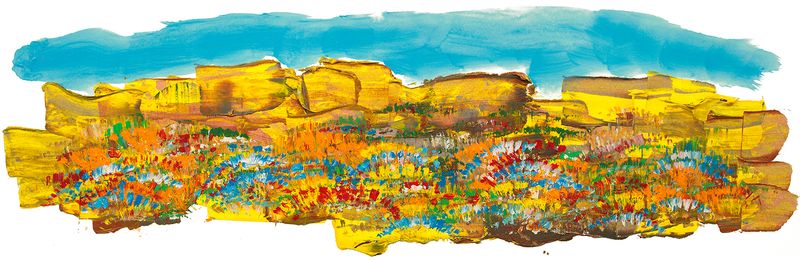 ROCK SPRINGS - EDICIÓN DE FIRMA - NARROW/ESTRECHO - 50 CM