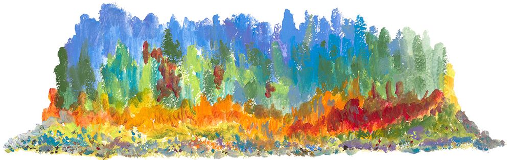 NORTHERN SHORE - ARTE LIMITADO - NARROW/ESTRECHO - 50 CM