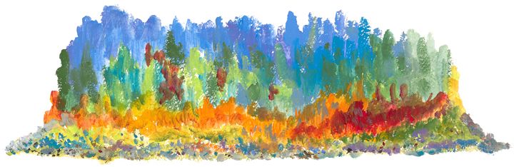 SIGNATURE EDITION (NARROW) - NORTHERN SHORE - 50 CM
