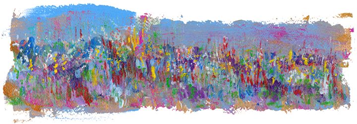 SIGNATURE EDITION (NARROW) - CRUSADE - 50 CM