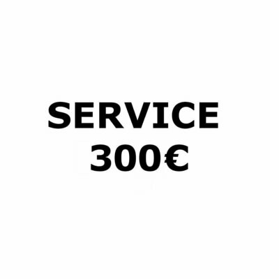 Serviceleistung für Ersatzteile 300€