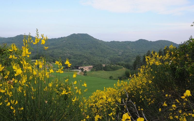 VOERE ACTION DAYS - Italy, Lombardy