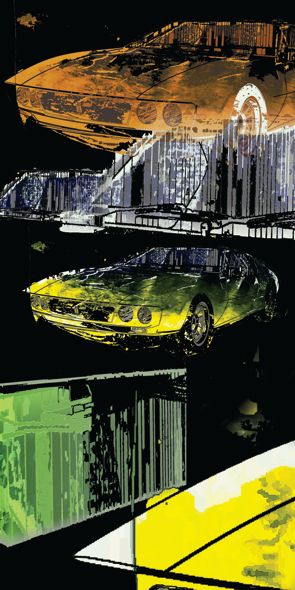 &quot;Mangusta STREET&quot;, Acrylglasbild