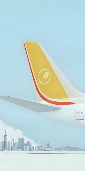 &quot;!plane1&quot;, Acrylglasbild