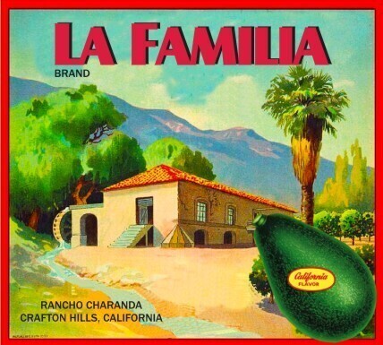 Family Pack HASS Avocados