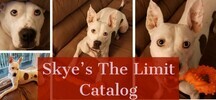 Skye's The Limit Catalog