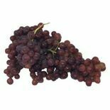 Grapes - red (1008)