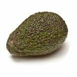 Avocados (1005)