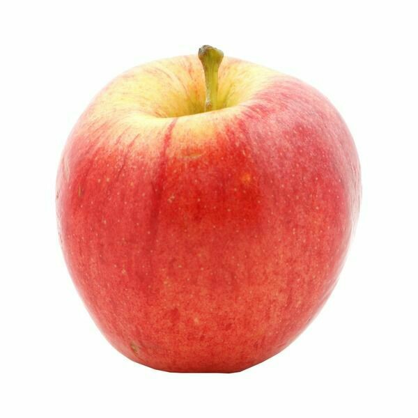 Apples - Gala (1002)