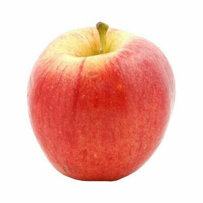 Apples - Gala (1002)