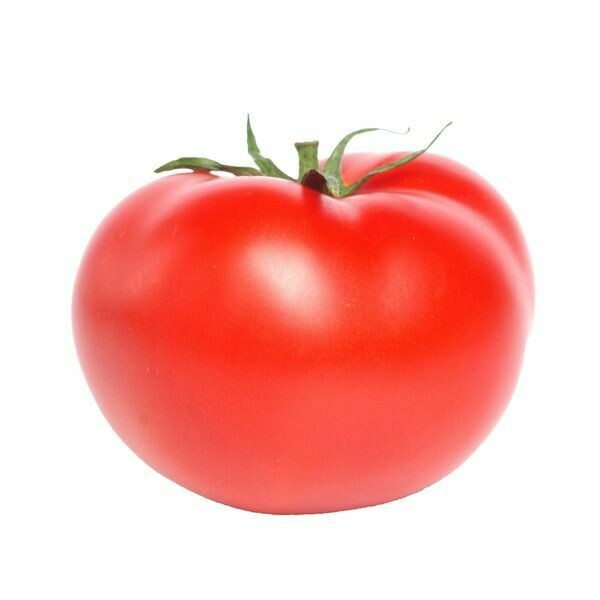 Tomatoes - Round (1022)
