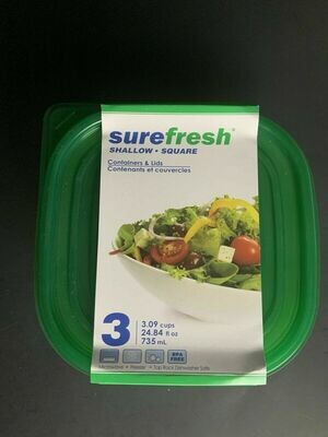 SureFresh Small Rectangle Container w/lid 24oz 3ct