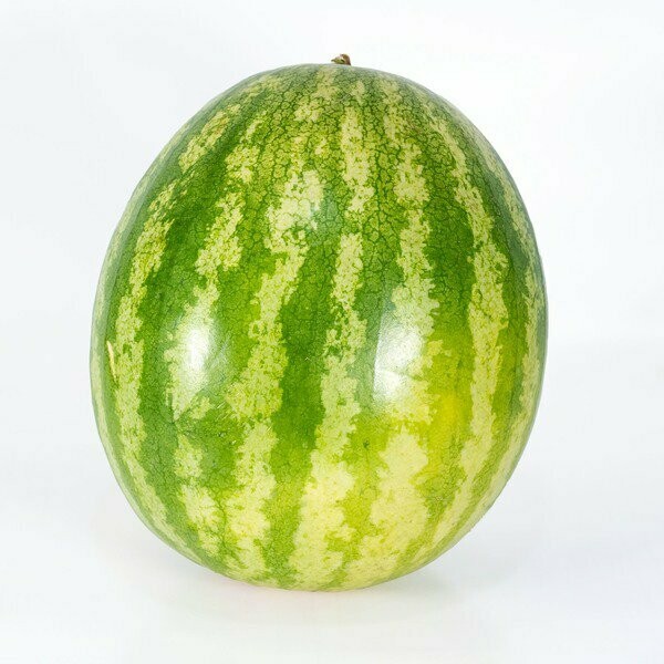 Watermelon - seedless (1023)
