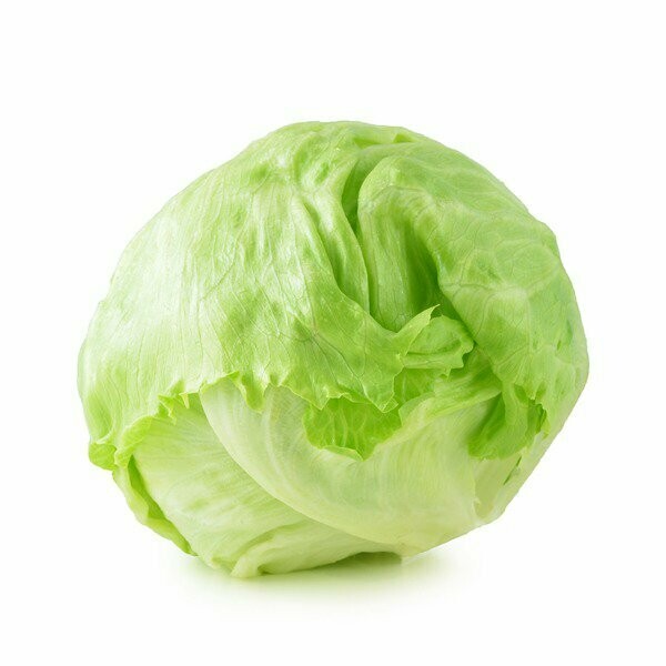 Lettuce, Iceberg (2020)