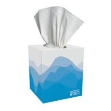 Facial Tissues 2-ply 64ct (square box)