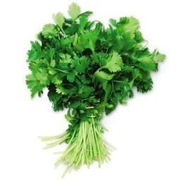 Cilantro (2018)