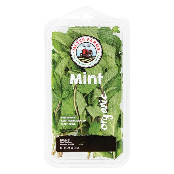 Mint (2033)