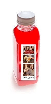Skye's the Limit Catalog Drinking Bottle 16oz (clear)