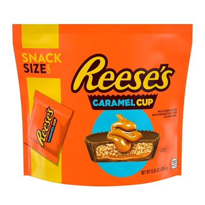 Fun Bags     Reese's Caramel Cup Snack Size