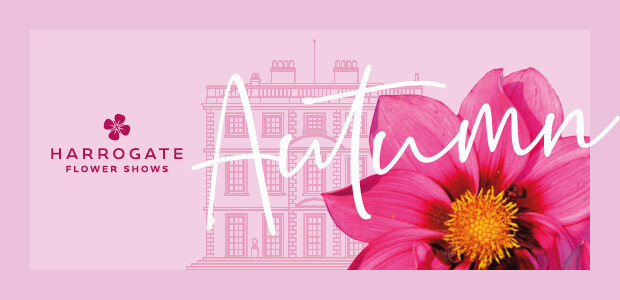 Harrogate Autumn Flower Show 2025