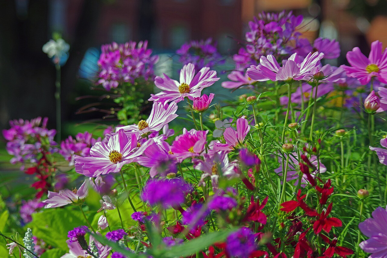 Harrogate Spring Flower Show 2026