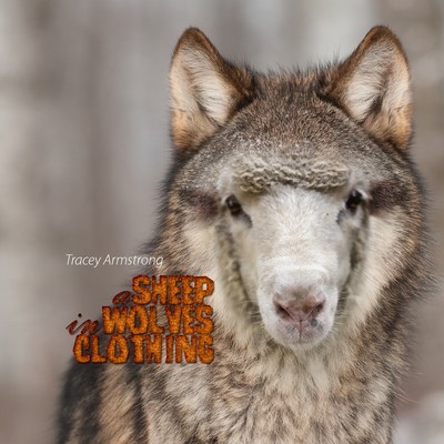 A Sheep in Wolves Clothing (Download)
