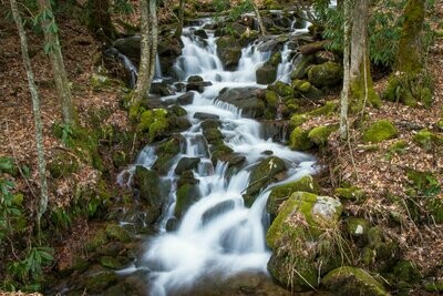 Scenic Flowing Stream Fine Art Photograph Print