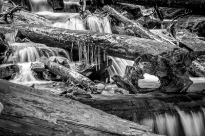 Black and White North Carolina Icy Stream Fine Art Photograph Print 0149