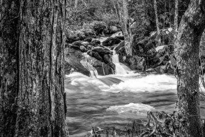 North Carolina Mountain Waterfall Black and White Fine Art Photograph Print 4297