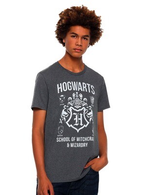 Hogwarts School of Witchcraft & Wizardry Crest Houses Harry Potter T-Shirt Hogwarts School of Witchcraft & Wizardry Crest Houses Harry Potter T-Shirt