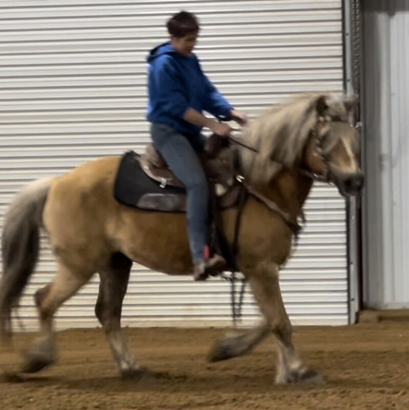 Bob Haflinger
