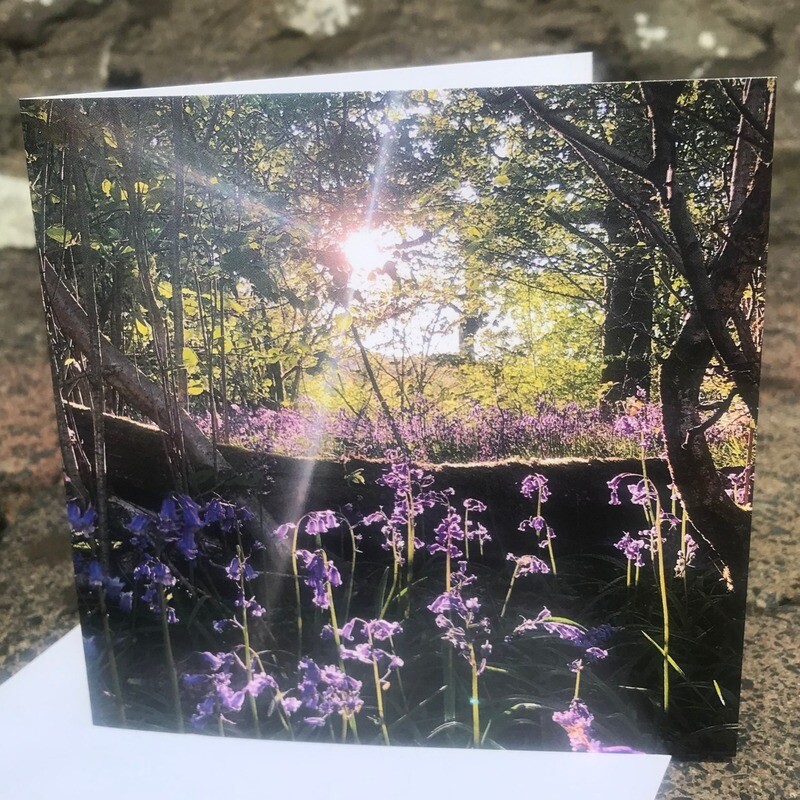 &#39;Strickley Bluebells&#39; Blank Greetings Card