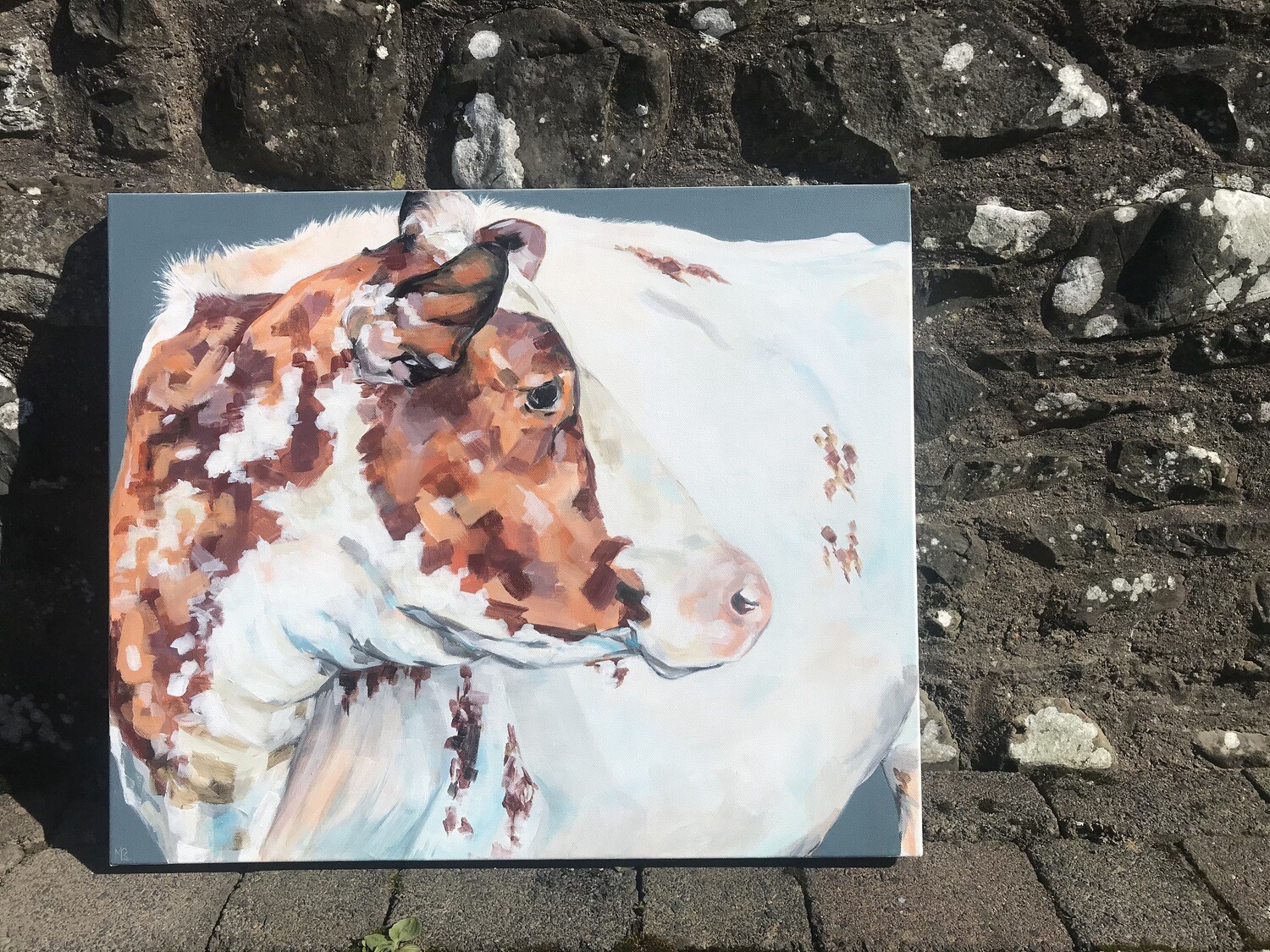 Strickley Geri - Dairy Shorthorn