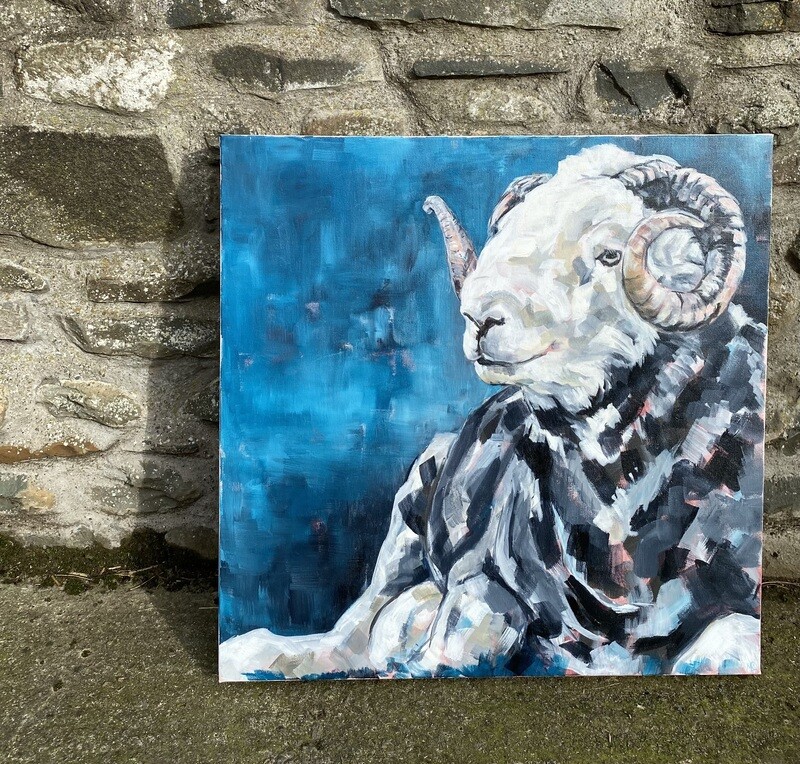 &#39;Resting Tup&#39; Herdwick - Large 24 inch square Original Painting