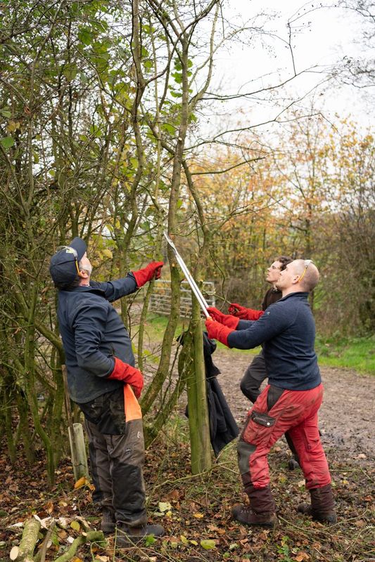 A Practical Introduction to Hedgelaying Course  Saturday 8th November 2025