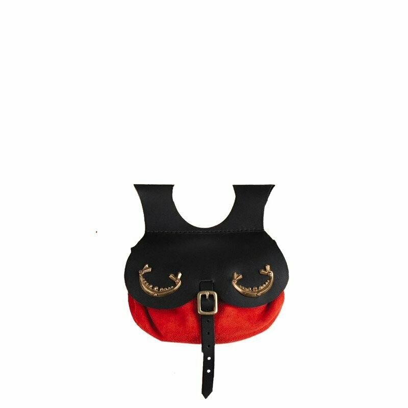 Sacoche Viking