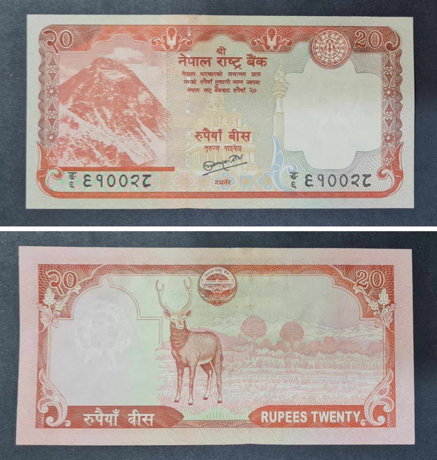NEPAL 20 RUPEES USED