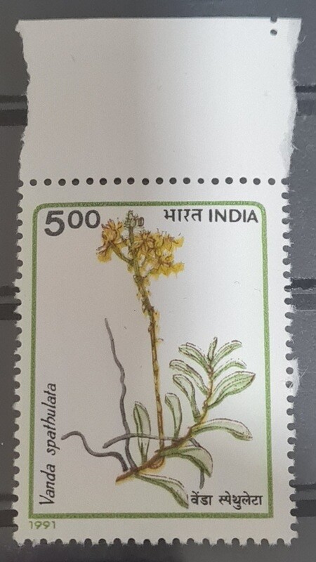 INDIA-ORCHIDS OF INDIA-Vanda spathulata 1991 MNH