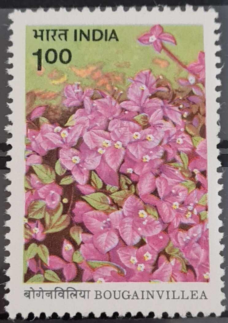 INDIA-BOUGAINVILLEA &#39;H.B SINGH&#39; 1985  MNH