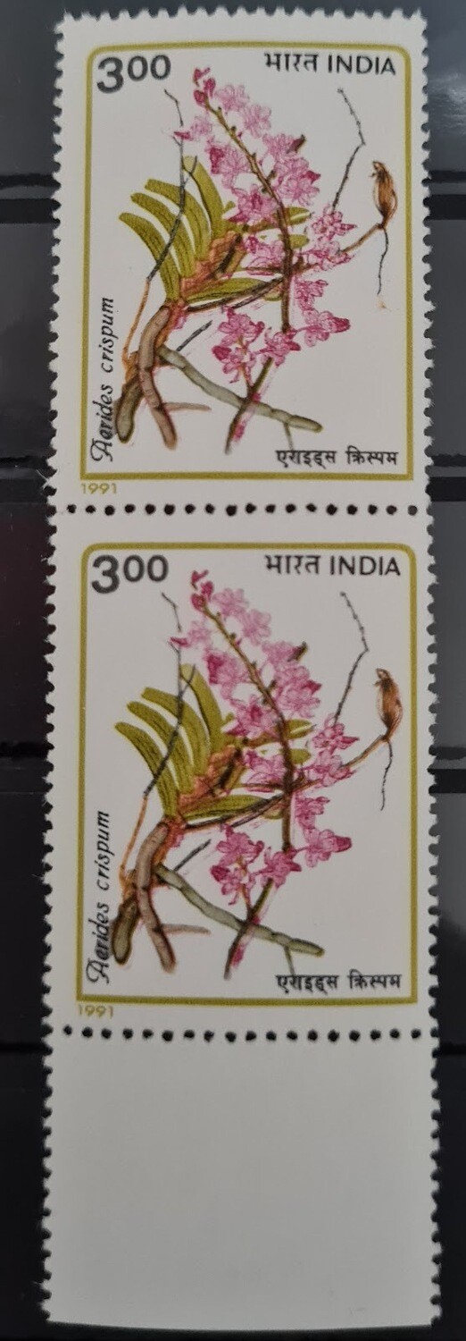 INDIA-ORCHIDS OF INDIA-Aerides crispum  1991  MNH  pair of stamps