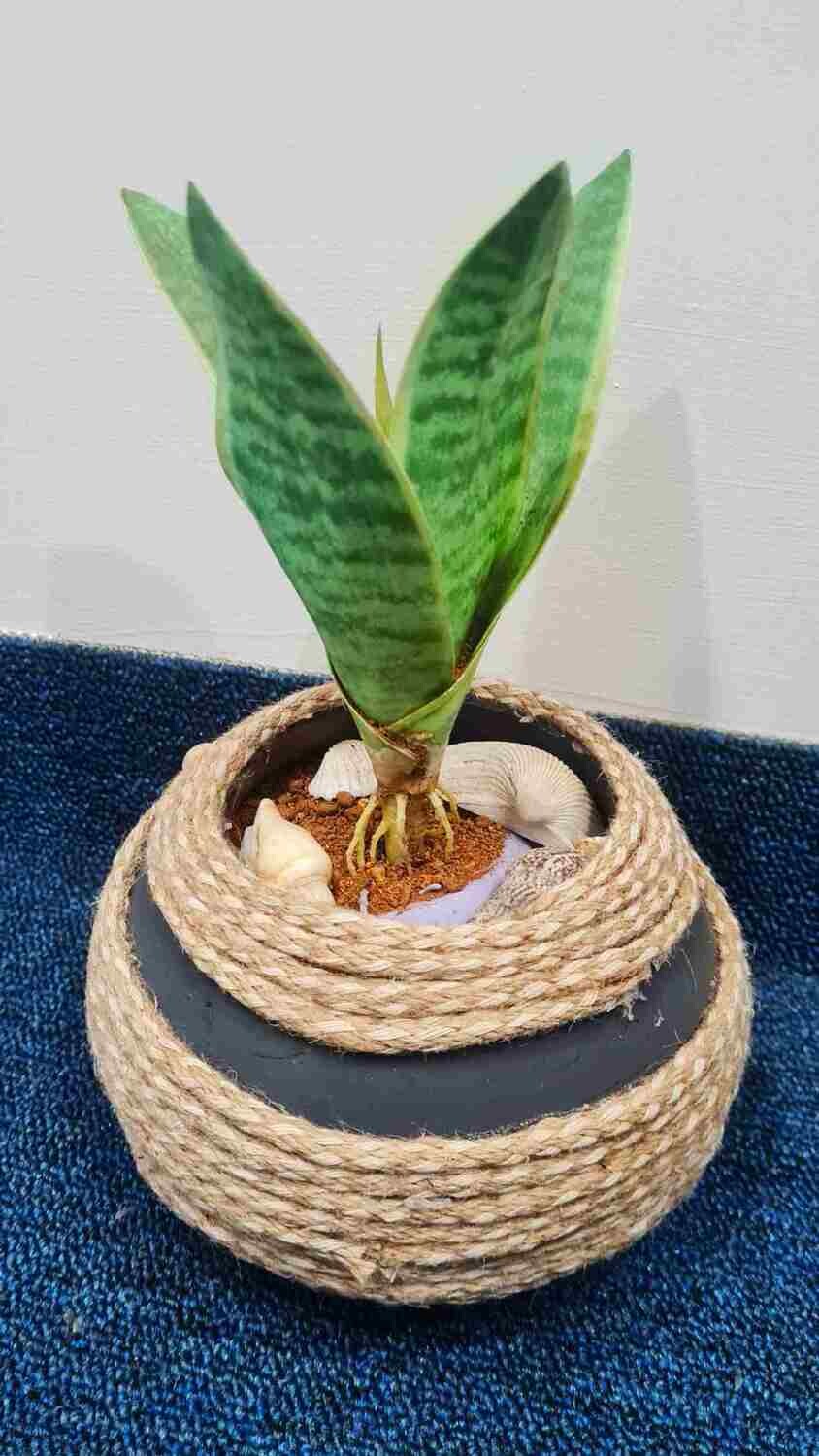 DECOR -ARTIFICIAL PLANT WITH BASKET